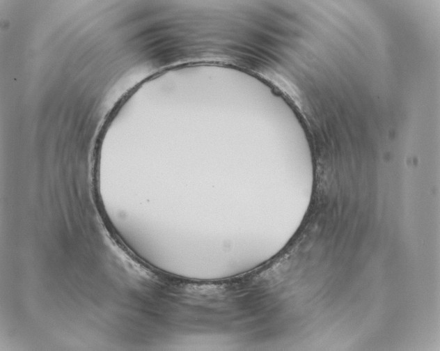 X0000088211135200706051250