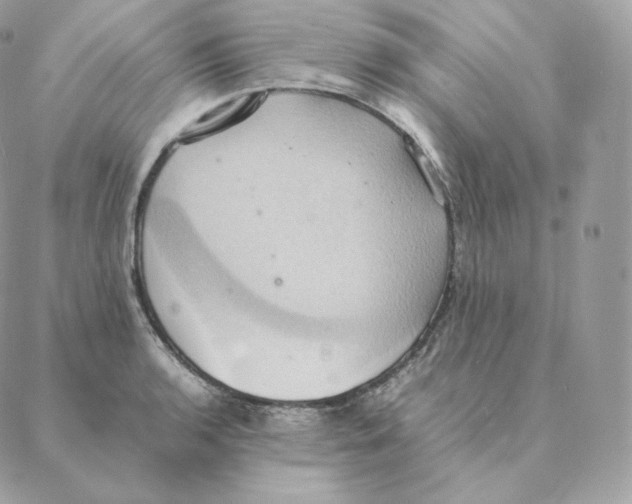 X0000088211136200706051250