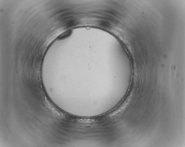 X0000088211137200706051250