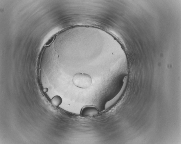 X0000088211138200706051250