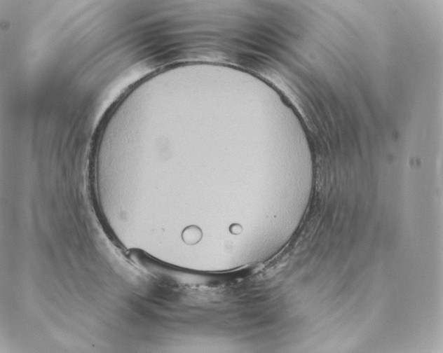 X0000088211139200706051250