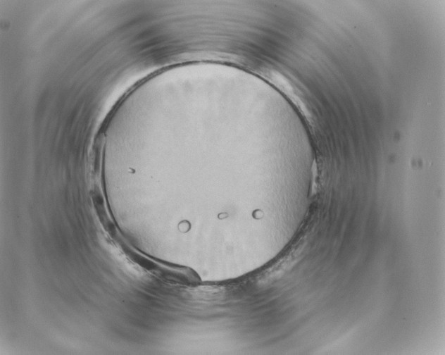 X0000088211140200706051250