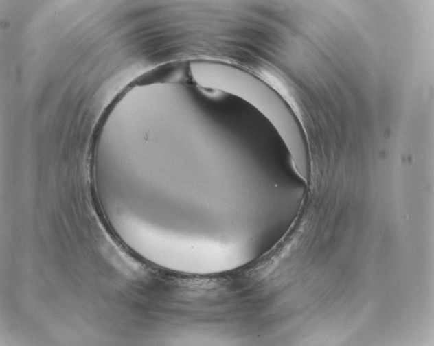 X0000088211141200706051250