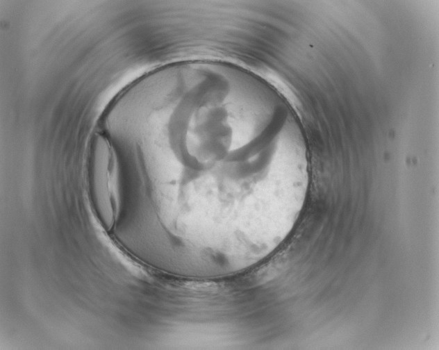 X0000088211142200706051250