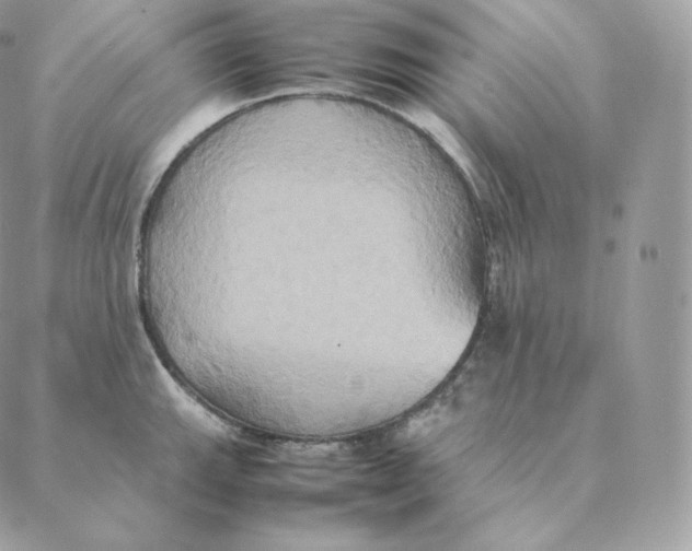 X0000088211143200706051250