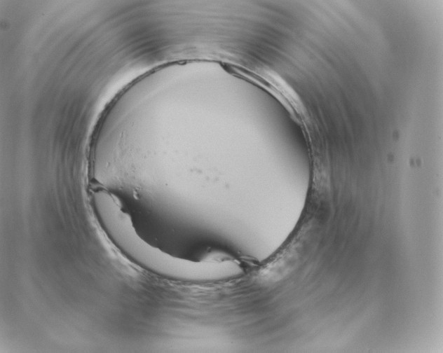 X0000088211144200706051250