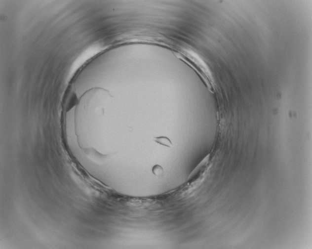 X0000088211146200706051250