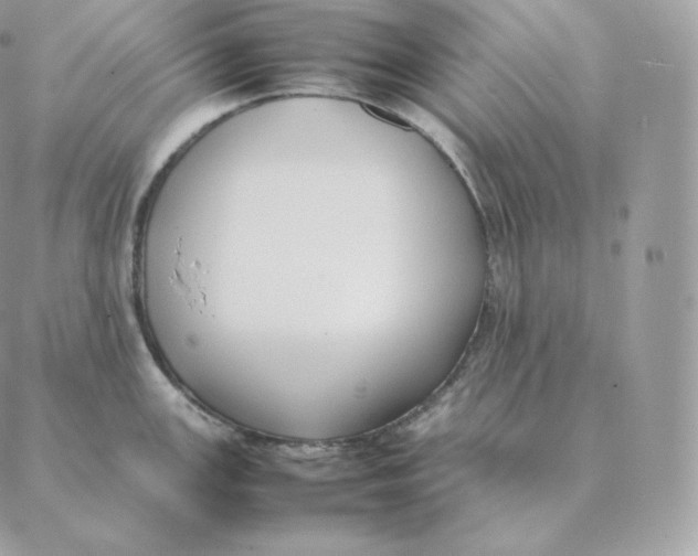 X0000088211147200706051250