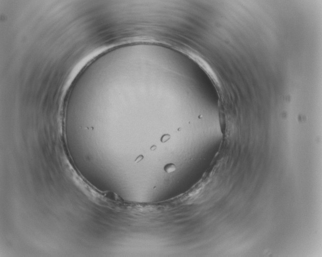 X0000088211148200706051250