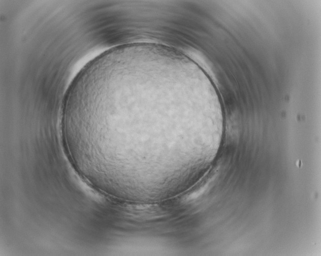 X0000088211149200706051250