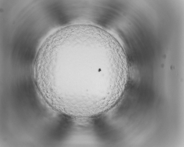 X0000088211150200706051250