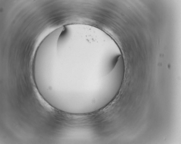 X0000088211152200706051250