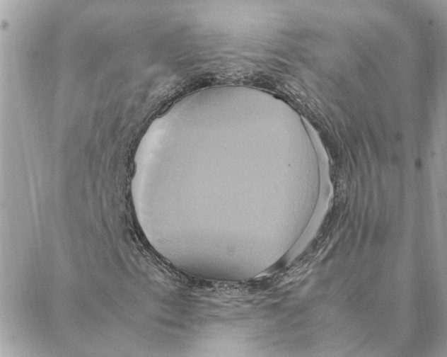 X0000088211153200706051250