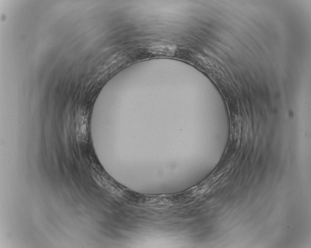 X0000088211154200706051250