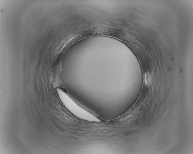 X0000088211155200706051250