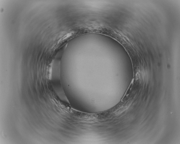 X0000088211156200706051250