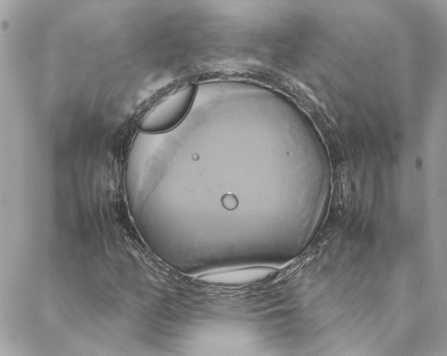 X0000088211158200706051250