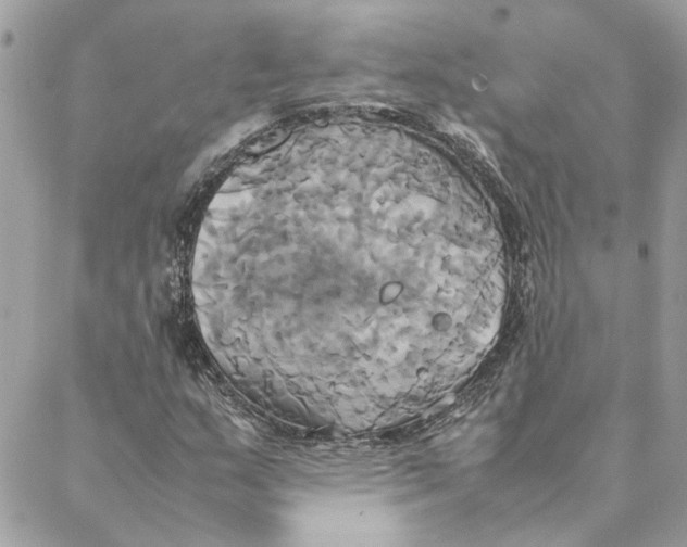 X0000088211159200706051250