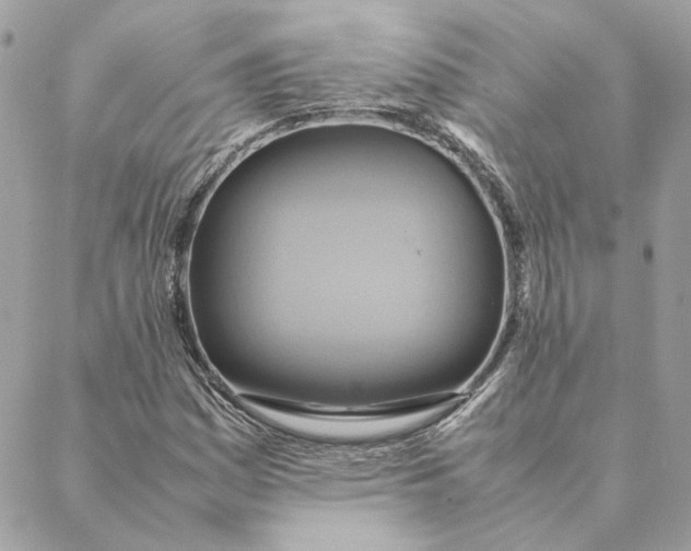 X0000088211161200706051250