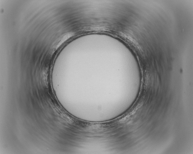 X0000088211162200706051249