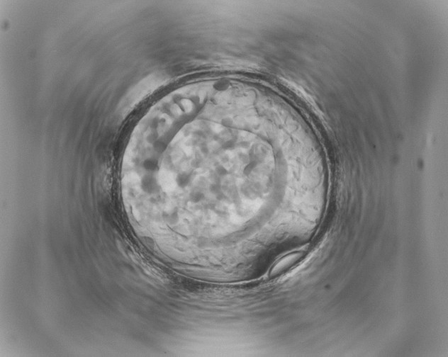 X0000088211163200706051249