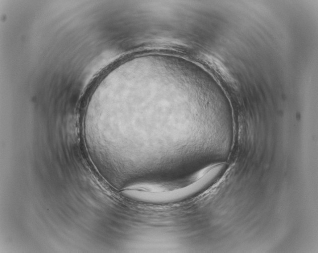 X0000088211164200706051249