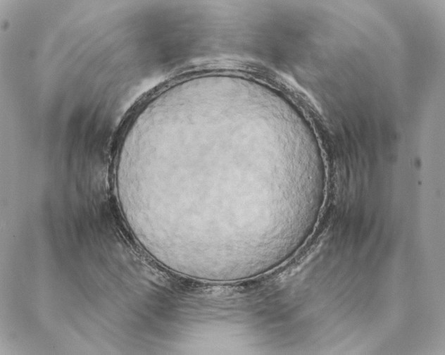 X0000088211166200706051249