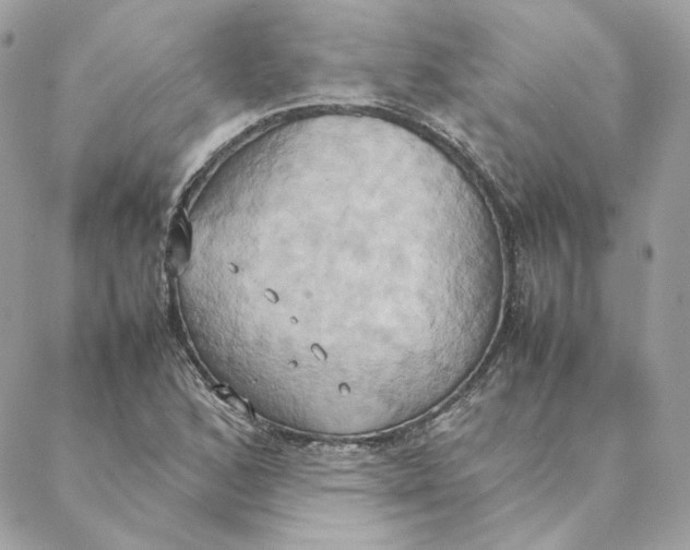 X0000088211168200706051249