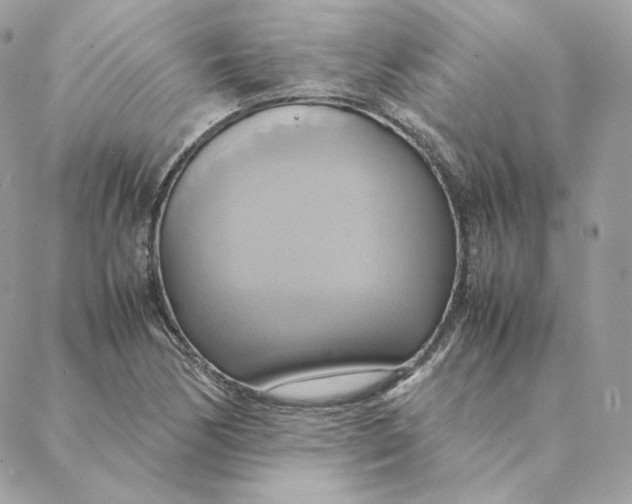 X0000088211170200706051249