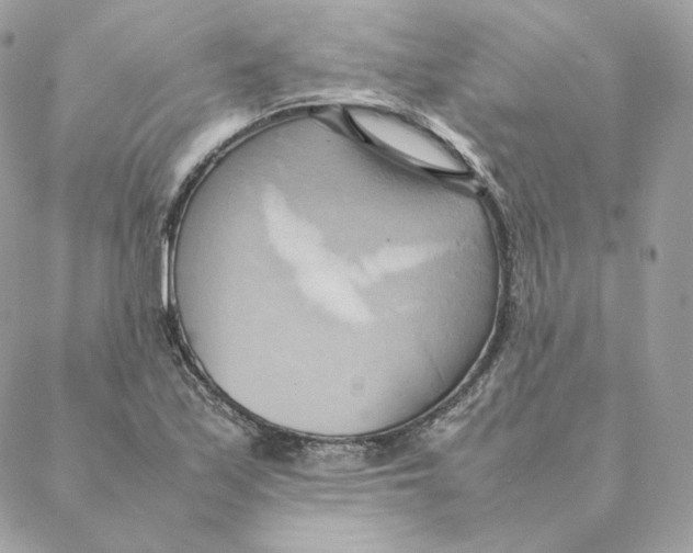 X0000088211171200706051249