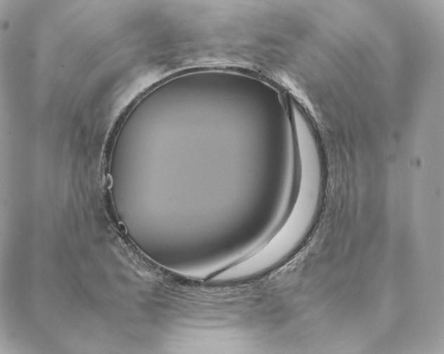 X0000088211173200706051249