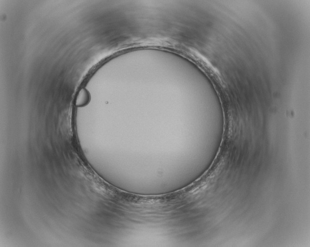 X0000088211174200706051249