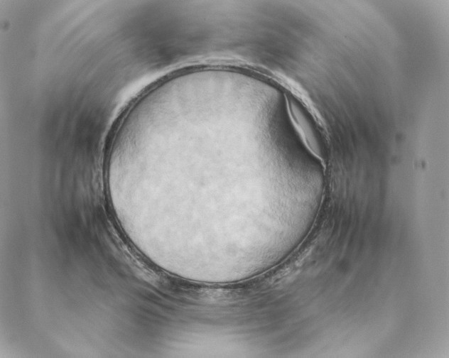 X0000088211176200706051249