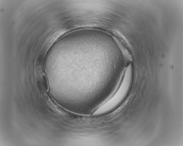 X0000088211177200706051249