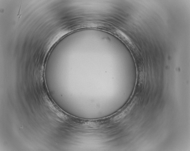 X0000088211178200706051249