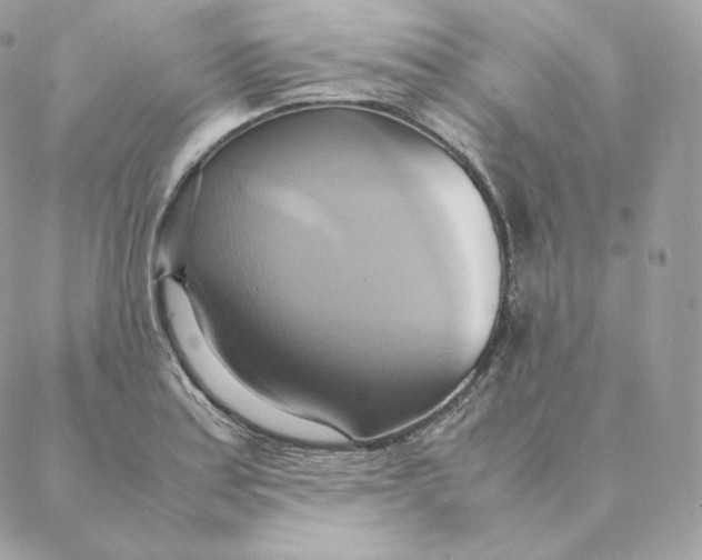 X0000088211179200706051249