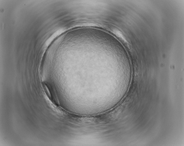 X0000088211181200706051249