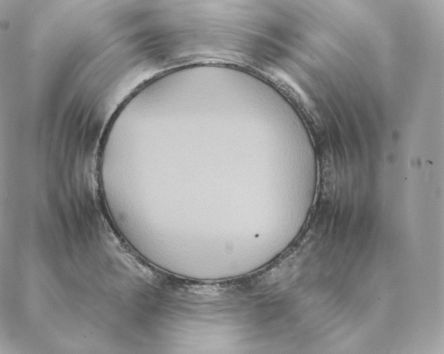 X0000088211182200706051249