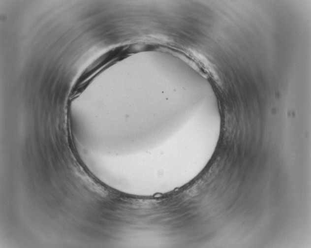 X0000088211184200706051249