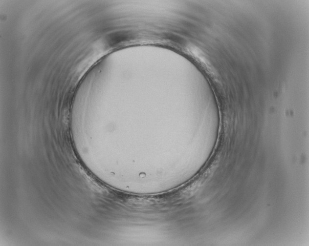 X0000088211185200706051249