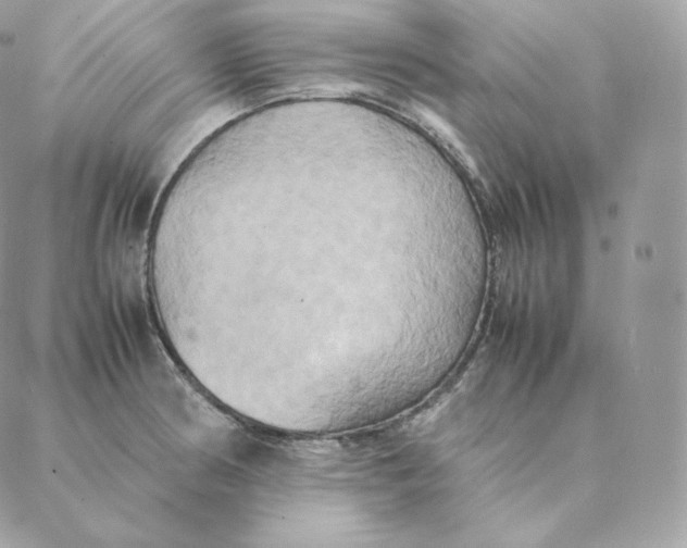 X0000088211186200706051249