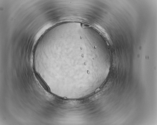 X0000088211188200706051249