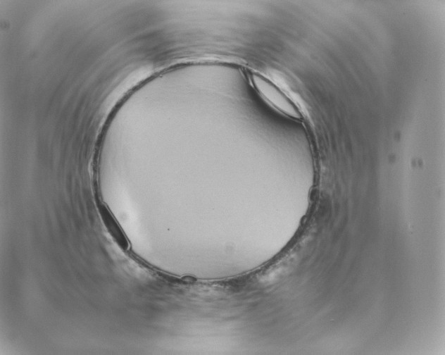 X0000088211189200706051249