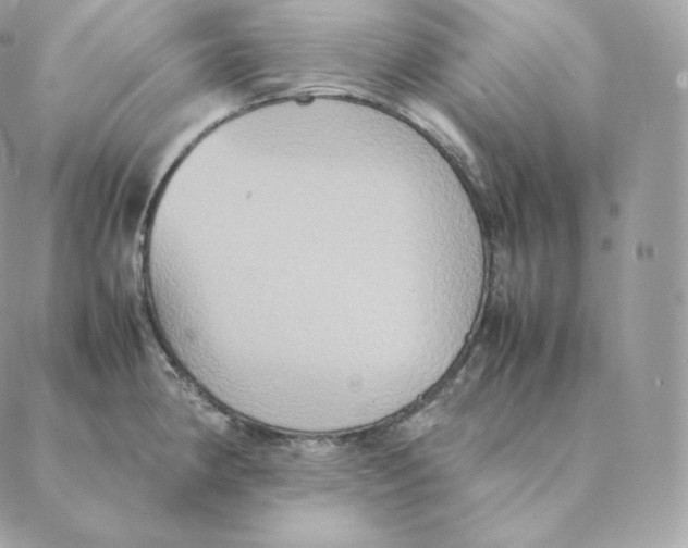 X0000088211190200706051249