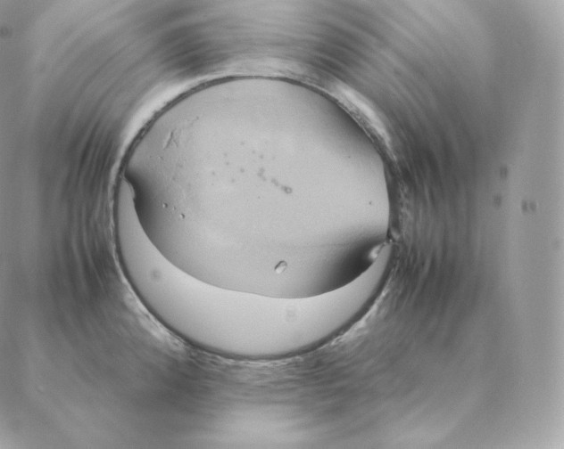 X0000088211192200706051249