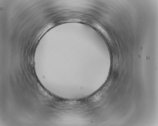 X0000088211193200706051249