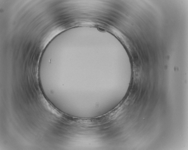 X0000088211194200706051249