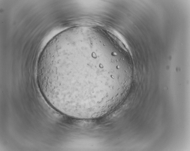 X0000088211195200706051249