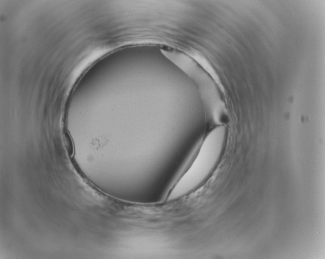 X0000088211197200706051249