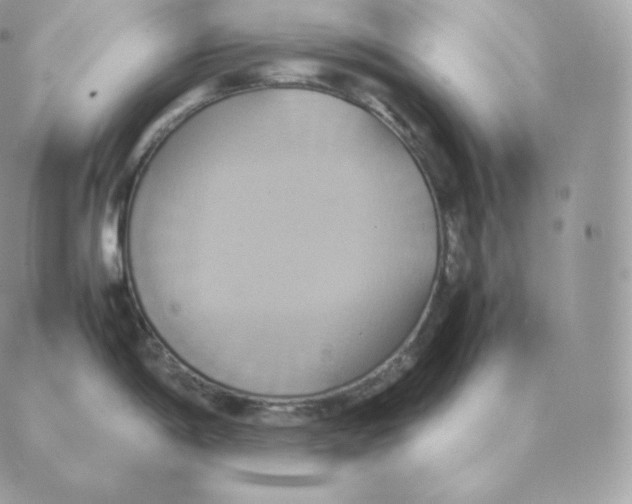 X0000088211198200706051249